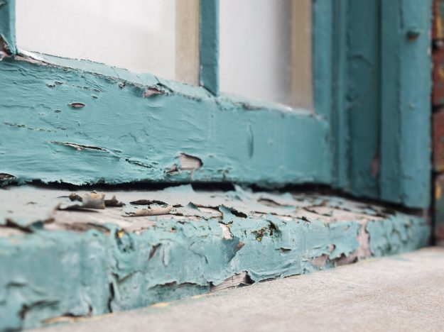 Lead Paint Inspection