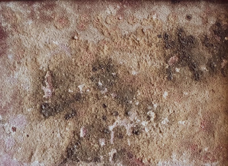 mold picture of mold wall